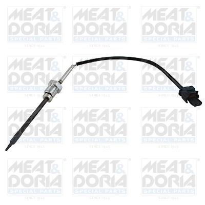 Sensor, exhaust gas temperature